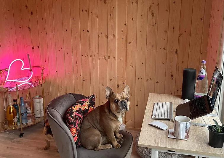 5ca61b_b906a417b3894ef5ab2bc41ca5ea1ba7~mv2